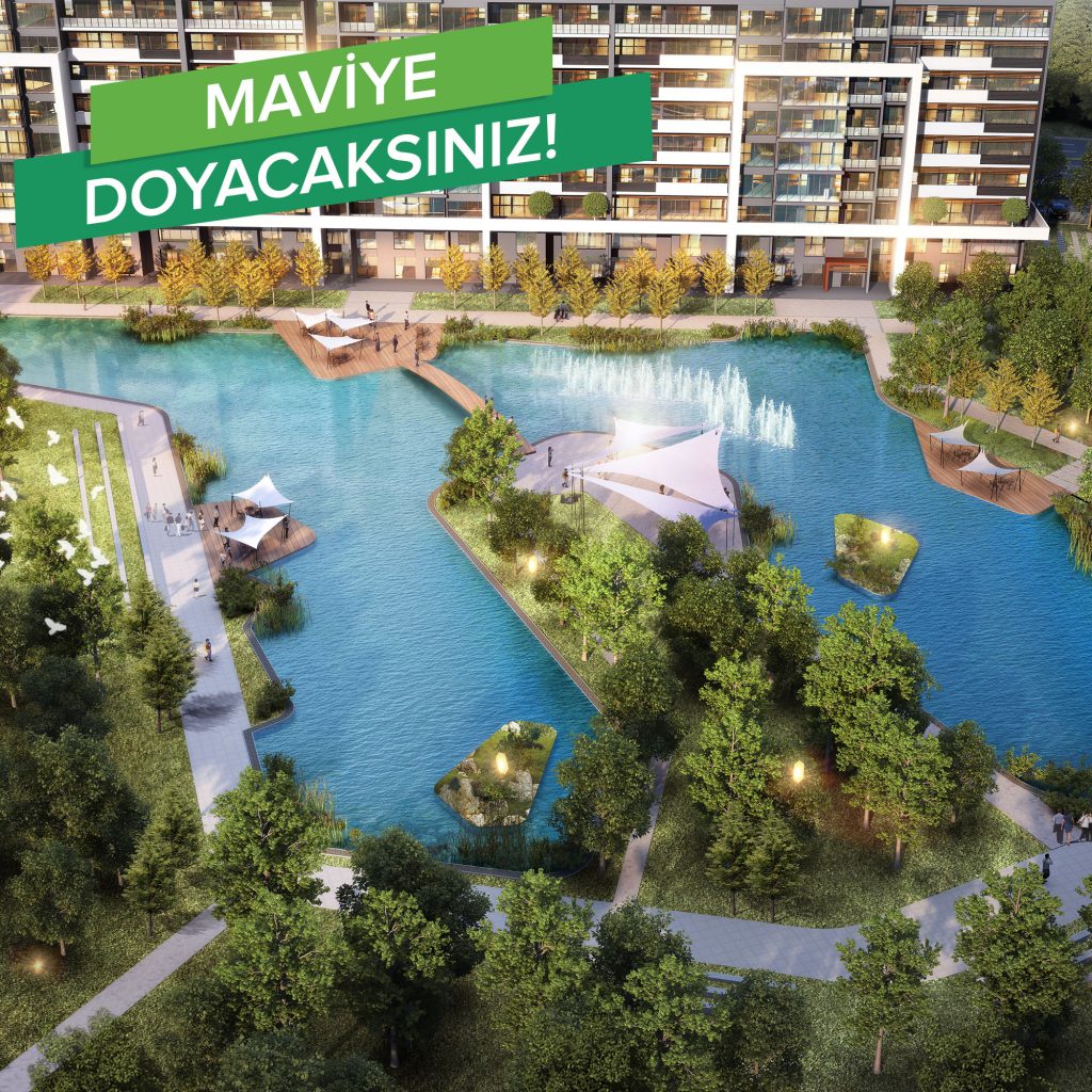 proje-1